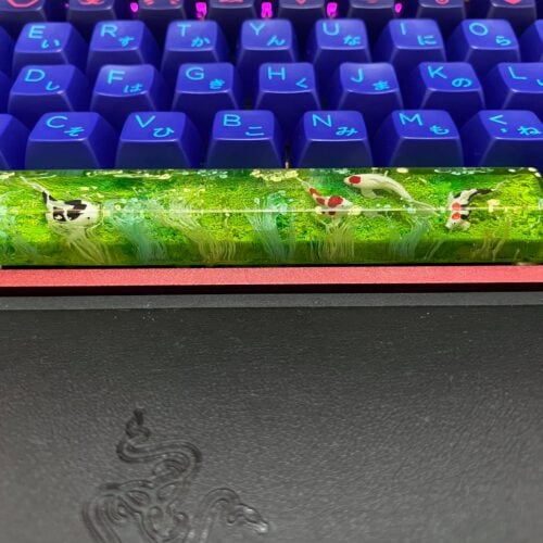 101193706 167398564791772 6848862481971514784 O