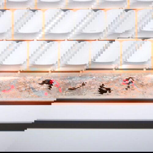 102909679 3521266171234964 1065653521209372470 O