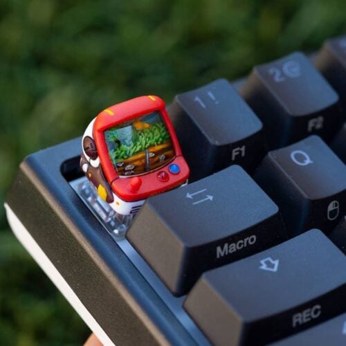 119792394 269301760735163 694445329058491999 N