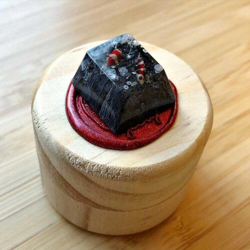 171011545 219490773279477 5286940369942364417 n