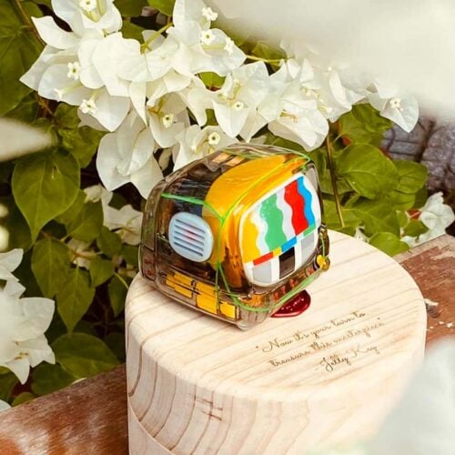 272339664 5451345534881949 7850087785440220326 n