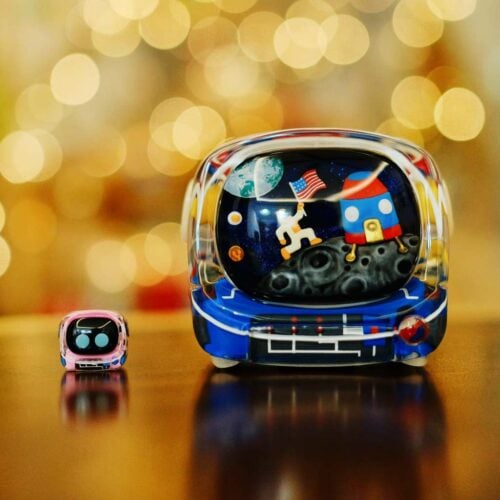 275310143 10216396836711745 7811805443360270264 n