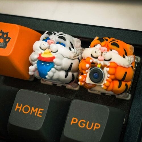 277302923 10228864951705709 303835381832445000 n