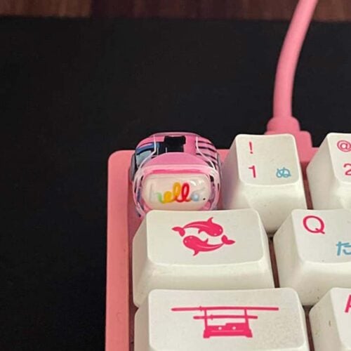 278481316 2049576425223149 8057523493949753554 n