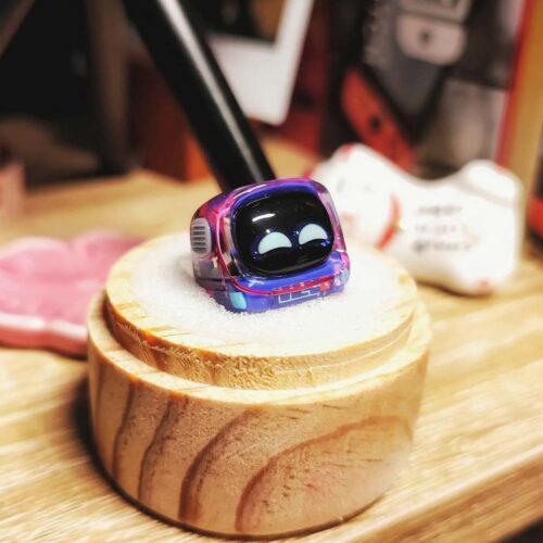 patataririka 286907663 570243831223963 4008524745775721841 n