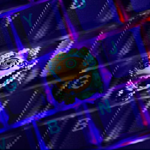 290575053 5843258592355641 4118931757442687095 n