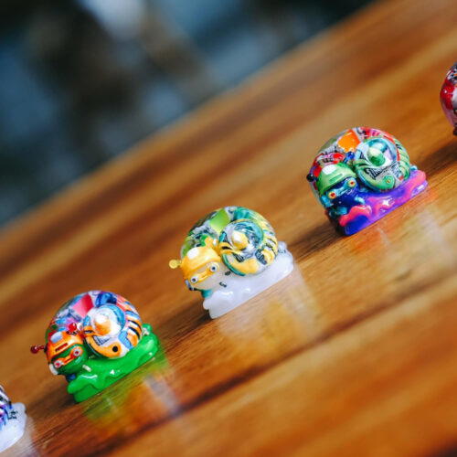 296053105 3493033607598671 4460510144770064403 n