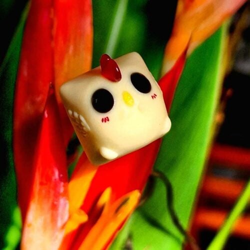 unknown 297963794 589137146152773 2033507852550911970 n