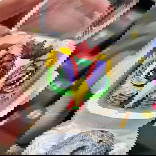 317753863 6083868048292683 3897706924775917090 n