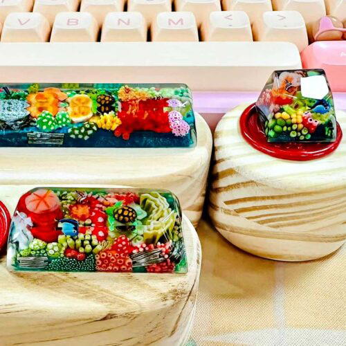 343309343 111699045240548 3553511727444619222 n (1)