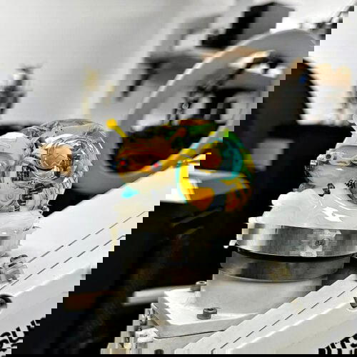 387181285 1118334562884766 4803489239073771564 n