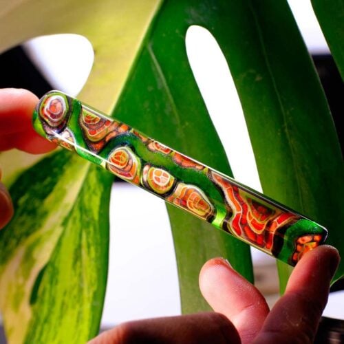 402079656 1758574197987108 3601781377330669576 n