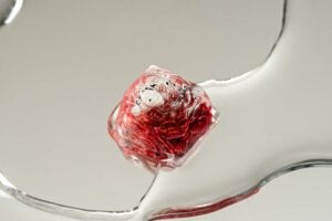 jellykey zenpond edenflow customs keycaps 012