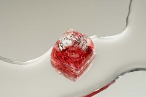 jellykey zenpond edenflow customs keycaps 018