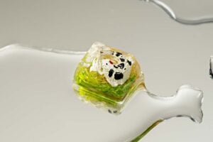 jellykey zenpond edenflow customs keycaps 051