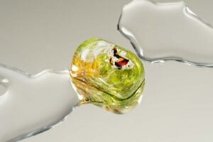 jellykey zenpond edenflow customs keycaps 075