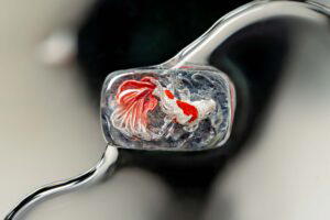 jellykey zenpond edenflow customs keycaps 091