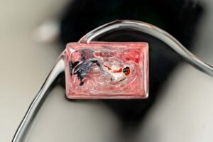 jellykey zenpond edenflow customs keycaps 108