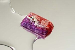 jellykey zenpond edenflow customs keycaps 119