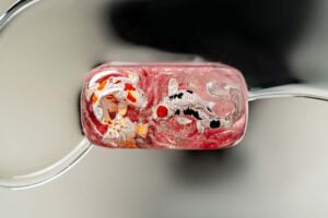 jellykey zenpond edenflow customs keycaps 168