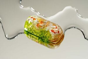 jellykey zenpond edenflow customs keycaps 183