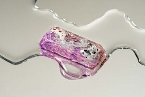 jellykey zenpond edenflow customs keycaps 191