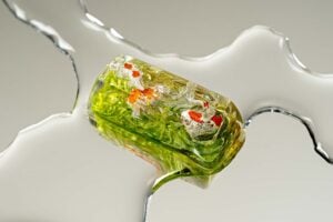 jellykey zenpond edenflow customs keycaps 195