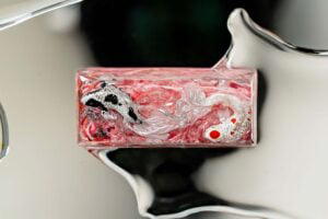 jellykey zenpond edenflow customs keycaps 216