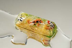 jellykey zenpond edenflow customs keycaps 231