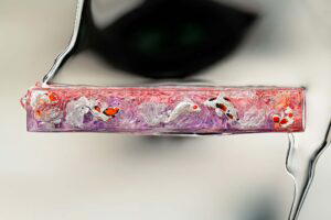 jellykey zenpond edenflow customs keycaps 281