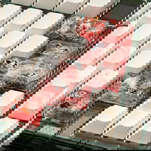 jellykey zenpond edenflow customs keycaps 446