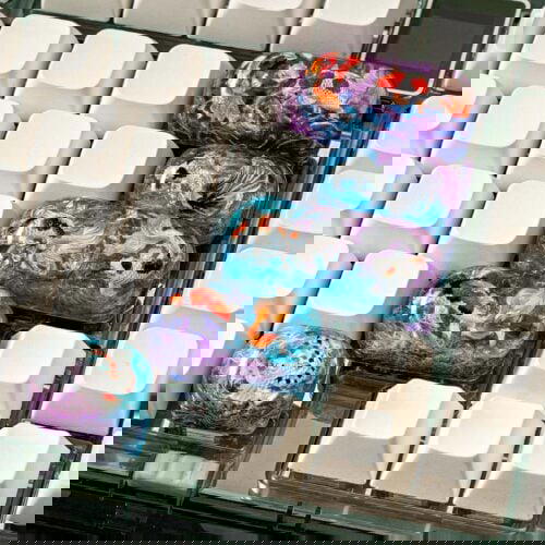 jellykey zenpond edenflow customs keycaps 448