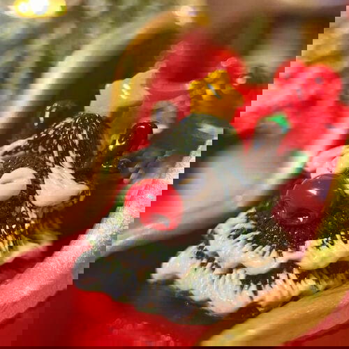 By Duy Nguyễn Như on Facebook