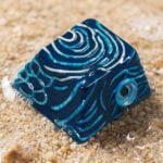 Blueface Angelfish
