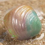 Opaline Tear