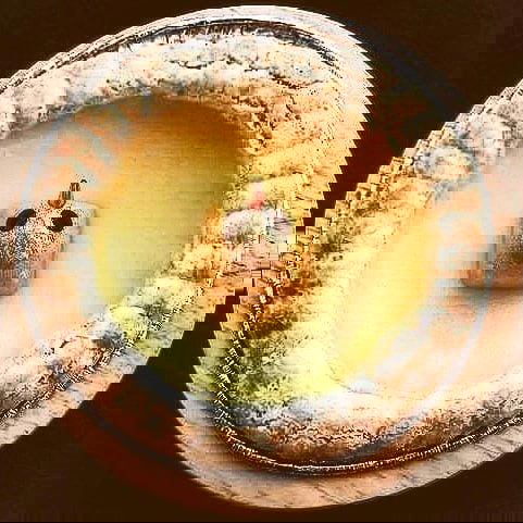 35518580 1736521606443737 6492954167353540608 N