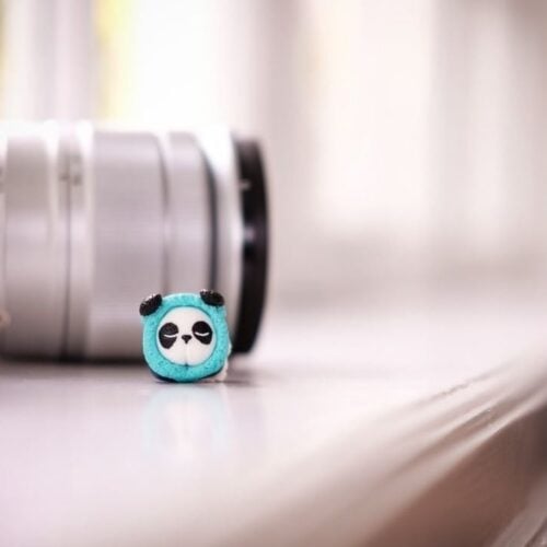 36734230 833244706875776 6025196657899995136 N