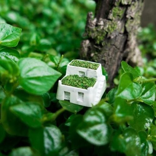 37043303 356196094910030 232856638409670656 N