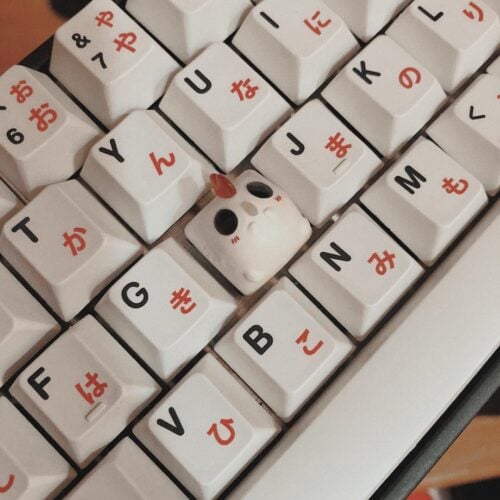 42003044 1781244298641439 3164640407451598848 N