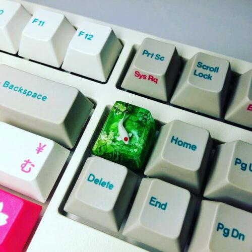 57012693 172964950361570 7728113561941650432 N