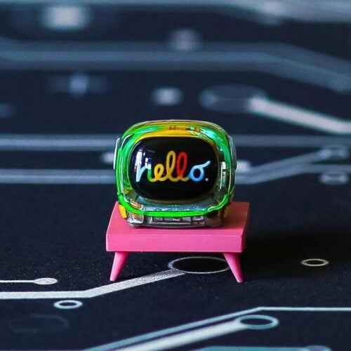 5786265 19 12 2021 12