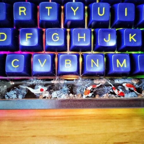 86826124 10157091476920998 5028370001589960704 O