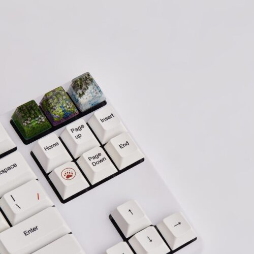 Ban Phim The Rejuvenation Ages Of Lost Cities 5 3