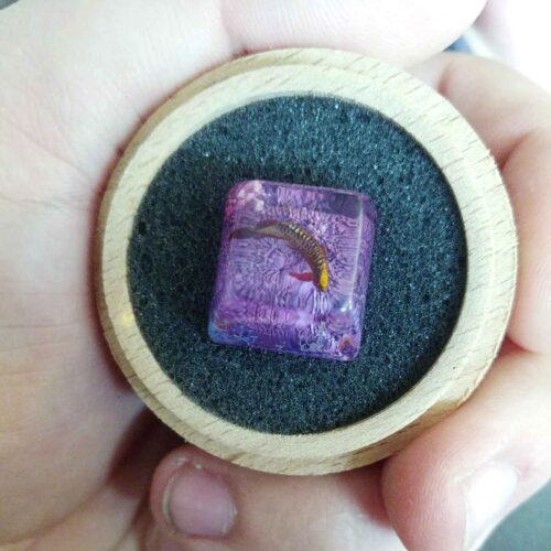 Jpeg 20190322 151743