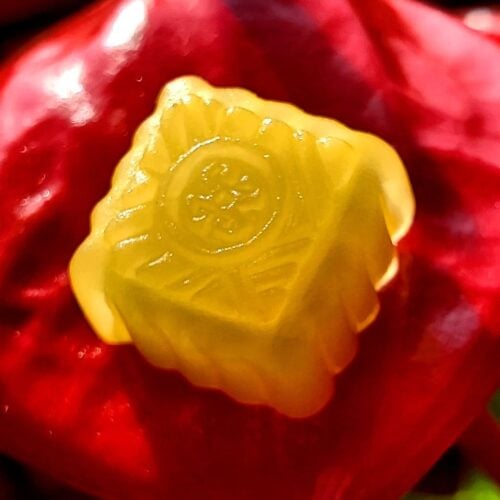 darwinmclovin 242398736 1293488341122575 477444709116016100 n