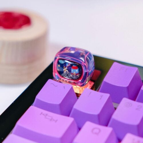 elyxirine 242315596 115849364158884 6109068888085515099 n