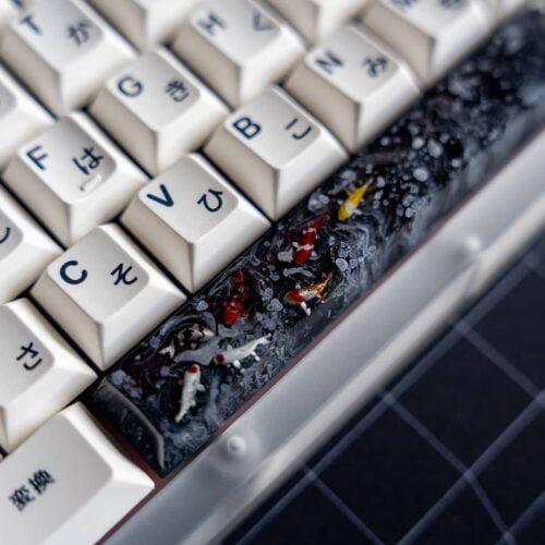 ob1 kb 209228196 329874115284695 1526926078614887956 n