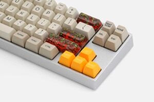 Rehabilitation Banphim (1)