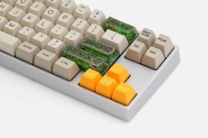 Rehabilitation Banphim (2)