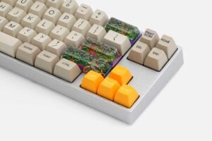 Rehabilitation Banphim (3)